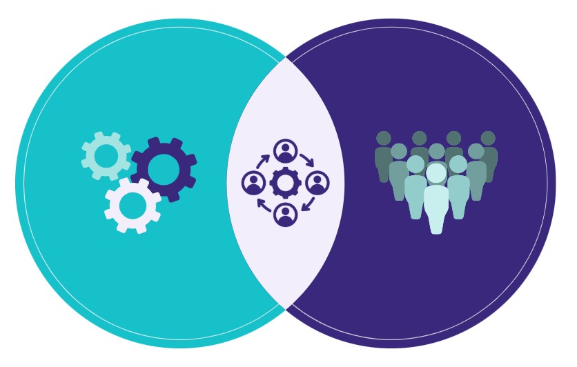 Systems-Aware Leadership